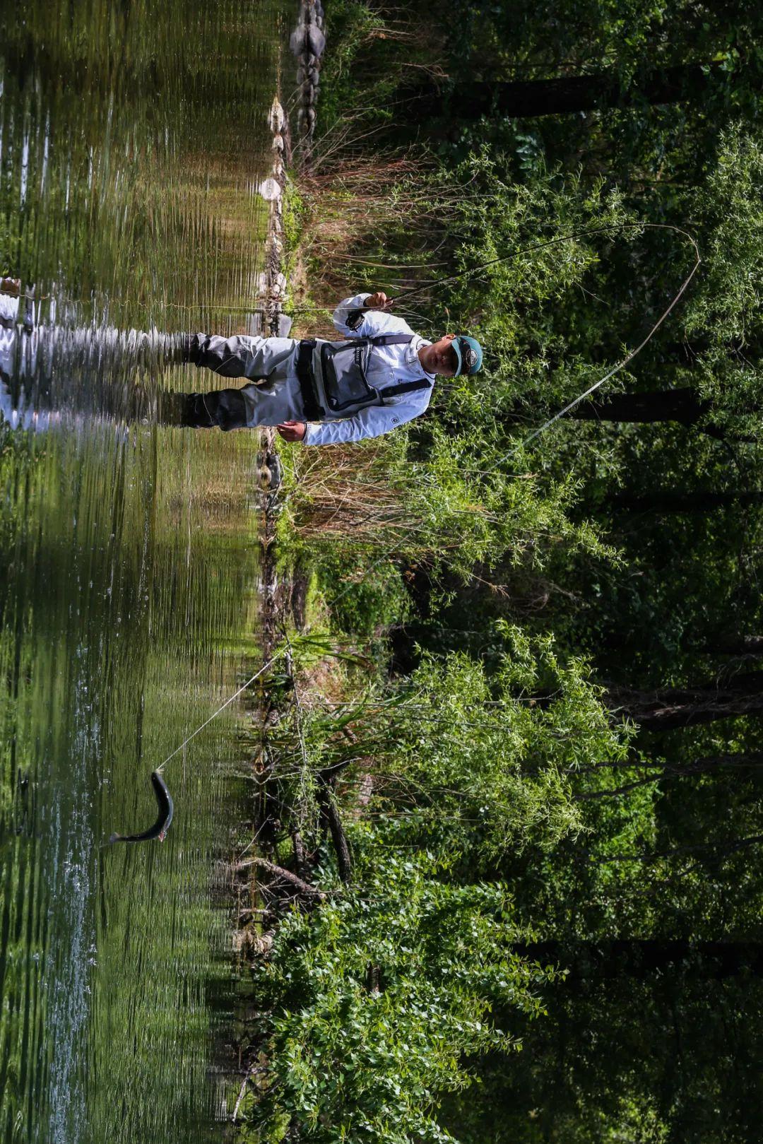 与鱼共舞50张图带你走进flyfishing的世界