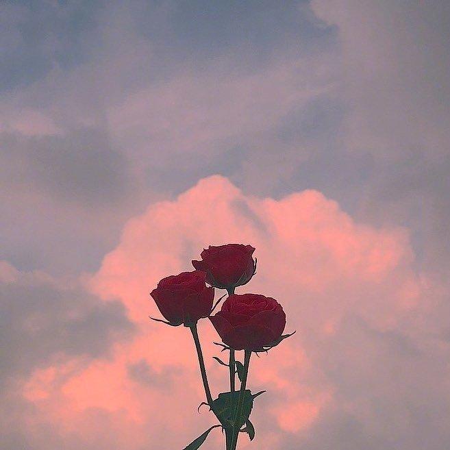 对女生说晚安她回了一句好的 v2-29c08afd9aa6550692e8b8ae2220e19e_1440w.jpg?source=172ae18b