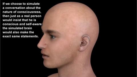 25岁学电子绿波电龙物理模型和模拟人脑eugene khutoryansky制作的3d