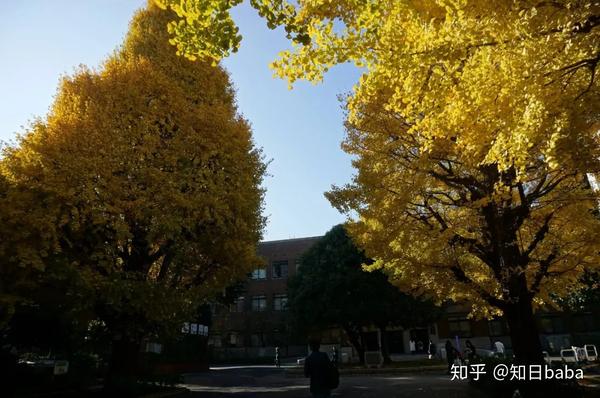 东京御茶水女子大学图片