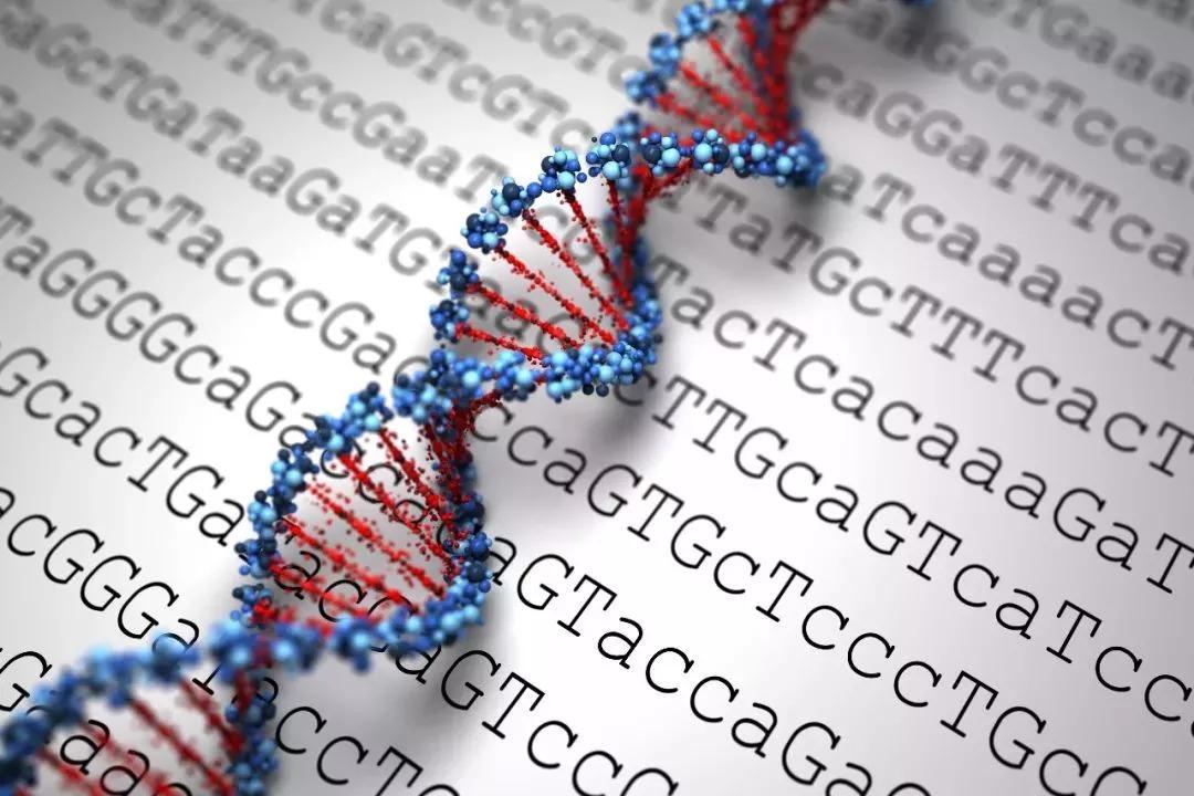 什么叫基因检测 DNA v2-29dbf5f5c998f27b894aaedfd205152f_1440w.jpg?source=172ae18b