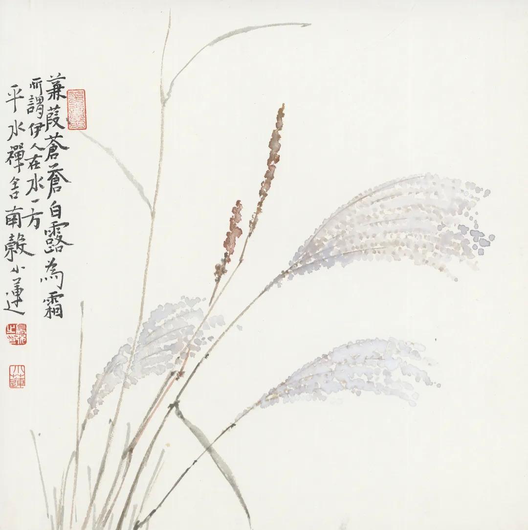 高强草木有本心丨私享微展