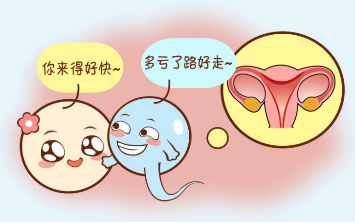 v2-29fa1048fa6e566b01e46f363179285d_1440w.jpg?source=172ae18b