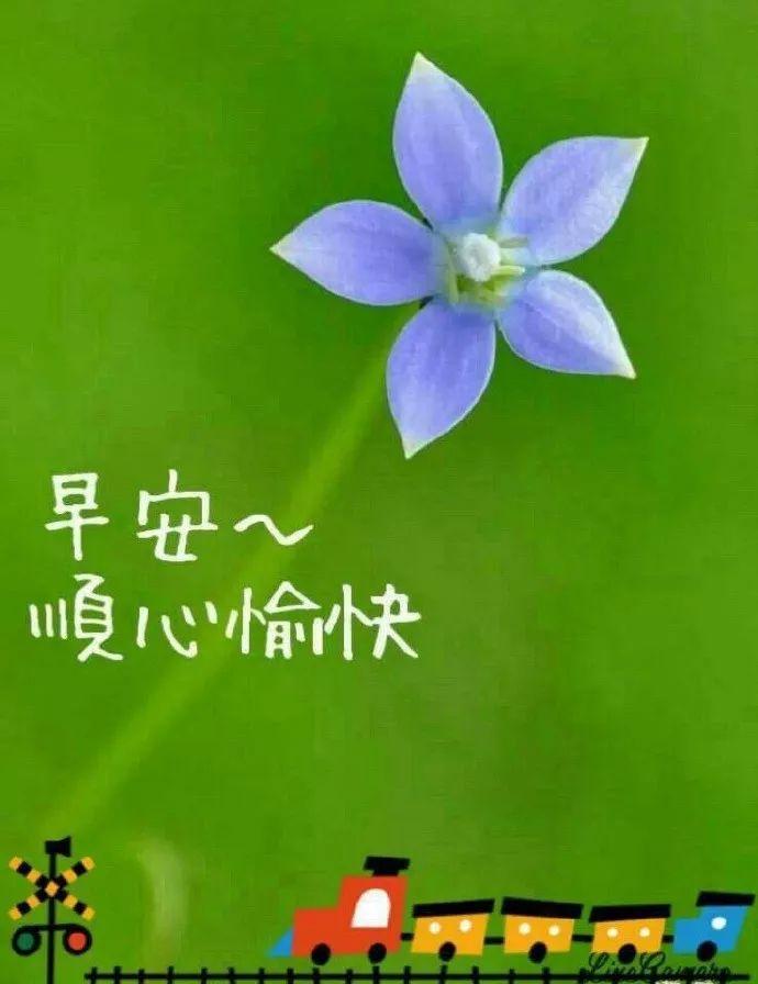 八月节早上好图片图片