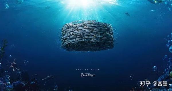 我们将重要的信息做特殊化的处理,在版面上形成视觉焦点,完成画面