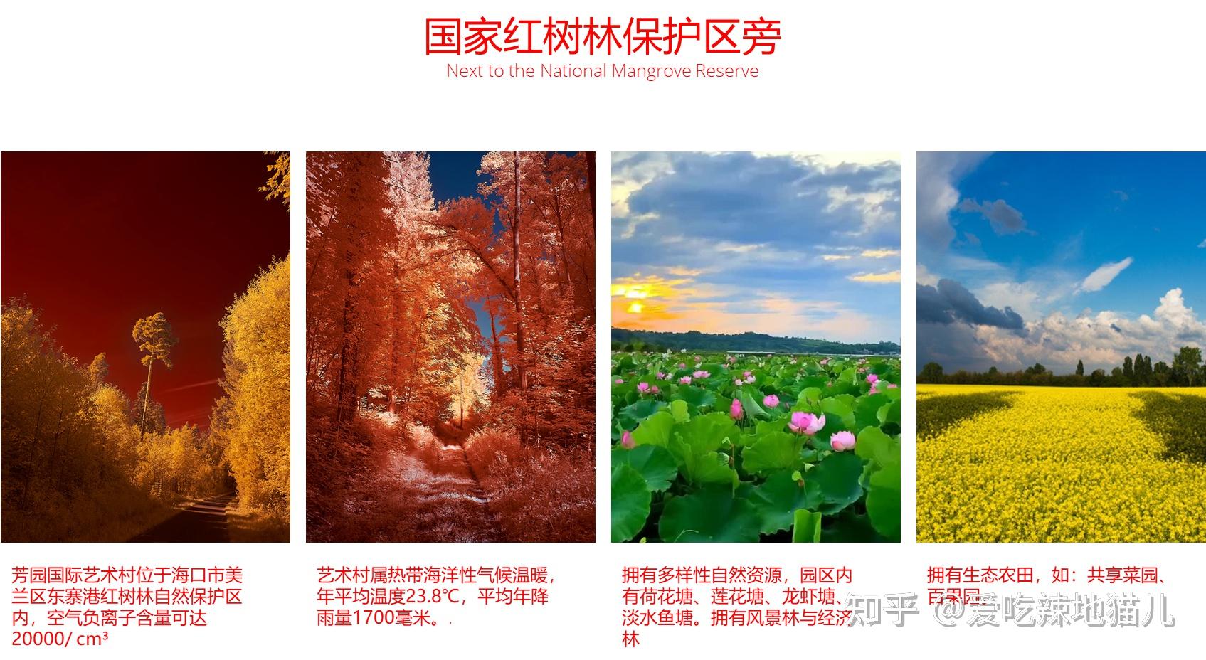 冬天想安排父母去海南越冬,有没有性价比高的地方推荐?大概需要多少钱? - 知乎