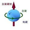 现代物理学理论究竟告诉了我们什么 读王令隽教授 李政道教授的开明 一文有感 知乎 现代物理学理论究竟告诉了我们什么 读王令隽教授 李政道教授的开明 一文有感 知乎