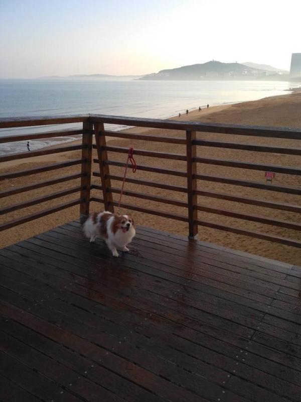 北威海南三亚,比较中国沿海几个海滨城市,威海