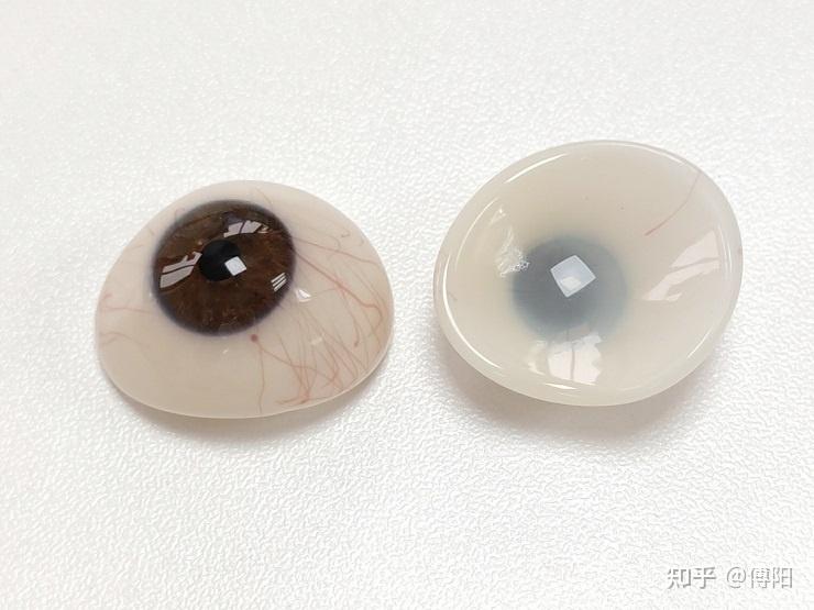 玻璃义眼 - 知乎