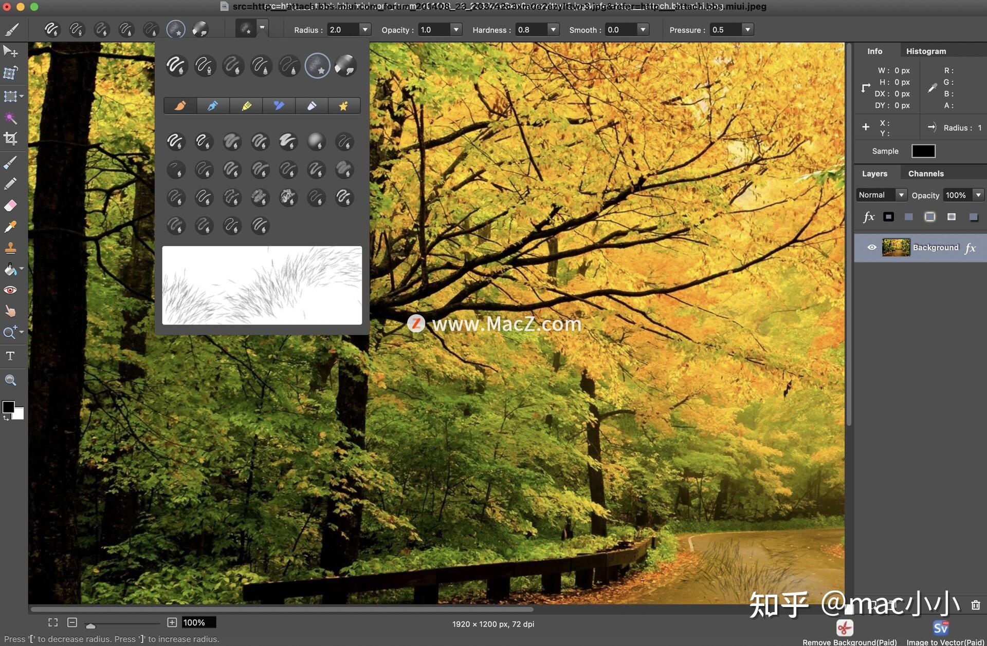 Photo Image Editor Pixelstyle for Mac(图像编辑器) 知乎