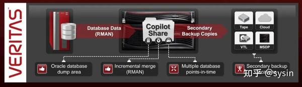 NetBackup 10.2 新功能介绍:PostgreSQL 和 MySQL 自动化恢复达成 - 知乎
