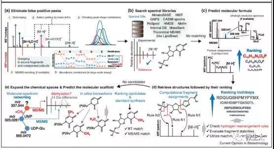 综述|计算代谢组学和数据库的进展加深了对新陈代谢的理解 - 知乎