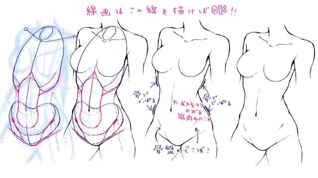 动漫人物腹肌怎么画?教你女生肚子的画法教程! - 知乎