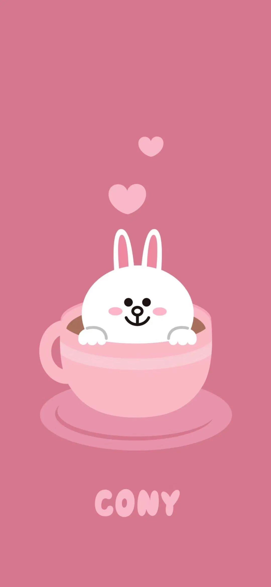 2组好看的布朗熊,可妮兔壁纸