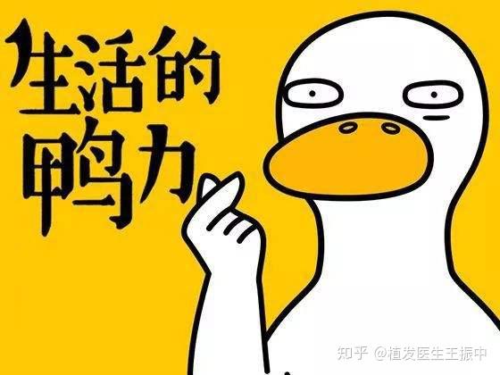 v2-2a76048e2bf31f15fa5700c591248a95_1440w.jpg?source=172ae18b