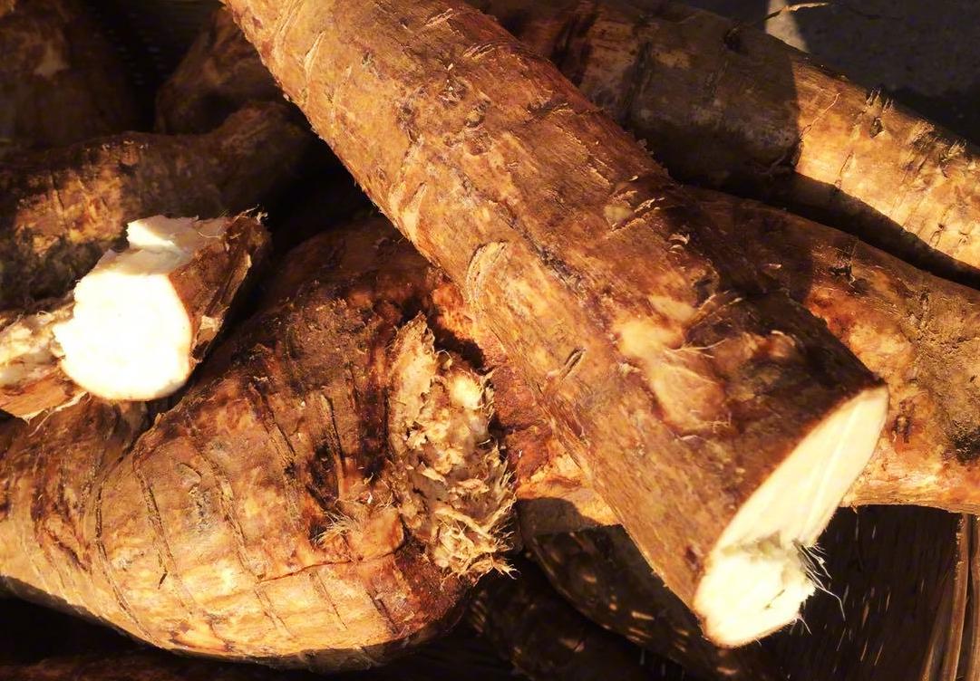 葛根来自大自然的野生臻品龙葛康