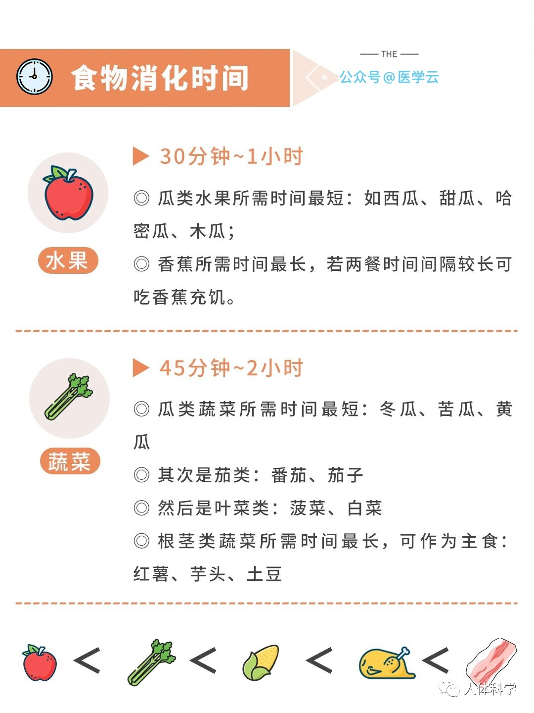 【健康饮食】不同食物消化时间表|乱吃会长胖的哟