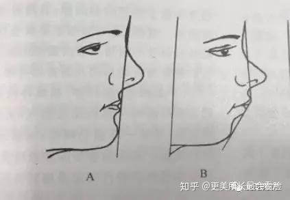 脂肪是怎么变少的 v2-2a9ebad050a2786f1f8973ced6ab2679_r.jpg