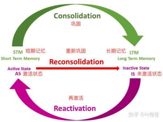 怎么样才能快速提升记忆力 v2-2aad3ad81b6846839177beed6541780d_r.jpg