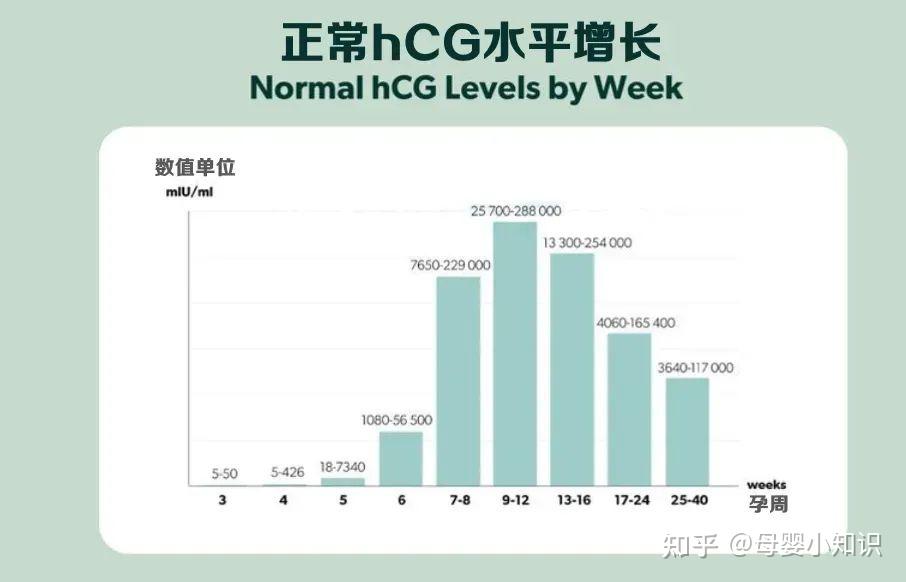 孕产知识--孕早期HCG值高，代表什么？ - 知乎