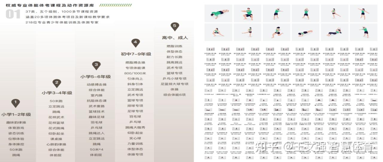 元体育探索数字经济下的体育变革实现内容与体验的全面升级