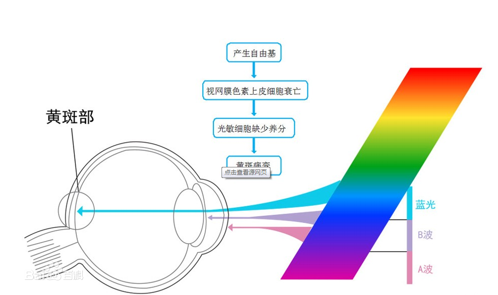 才能看清屏幕上的内容,你的视网膜从手机屏幕吸收的蓝光范围变多,感光