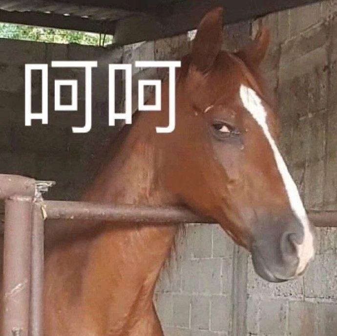 沙雕文案身份,沙雕文案段子
