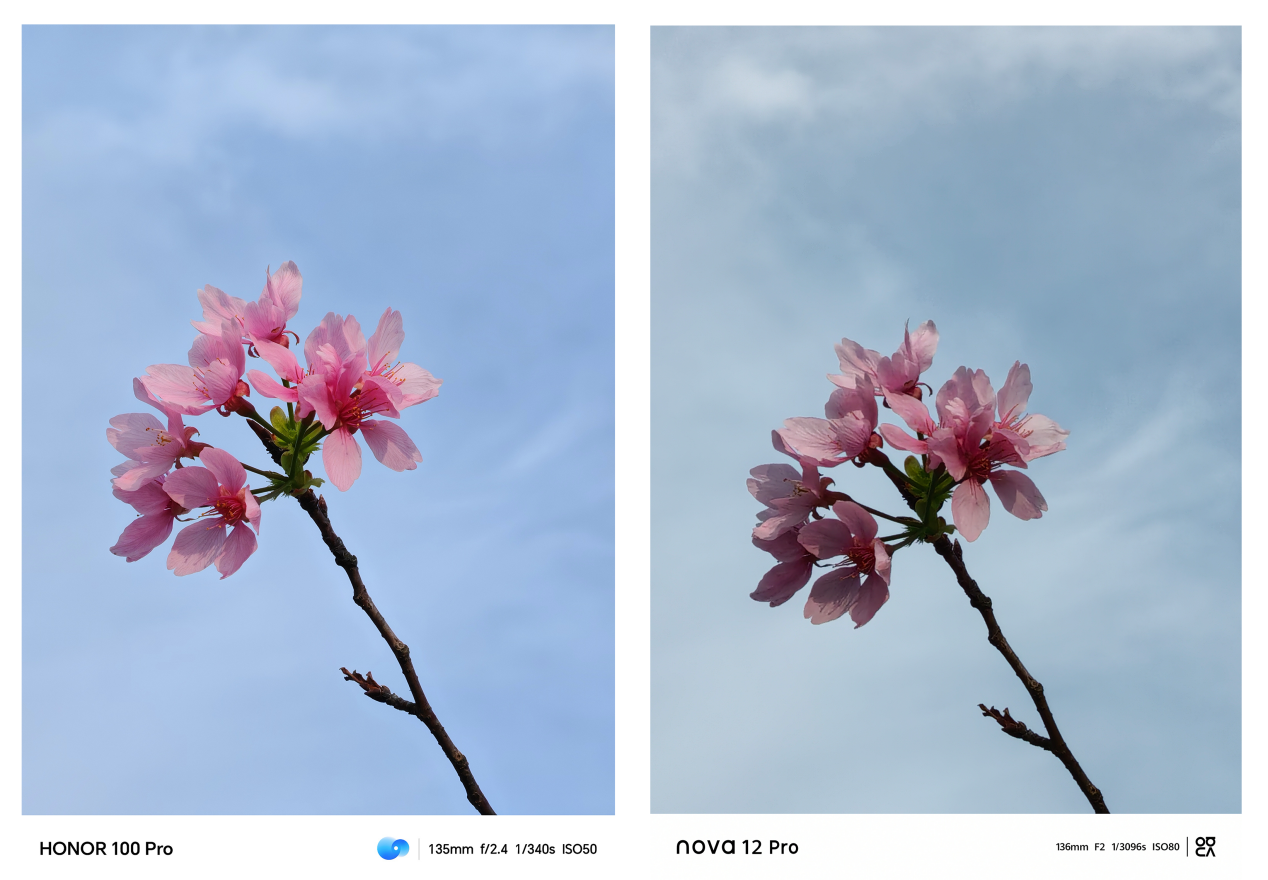 3000到4000档位荣耀100pro和华为nova12pro实际表现如何该怎么选