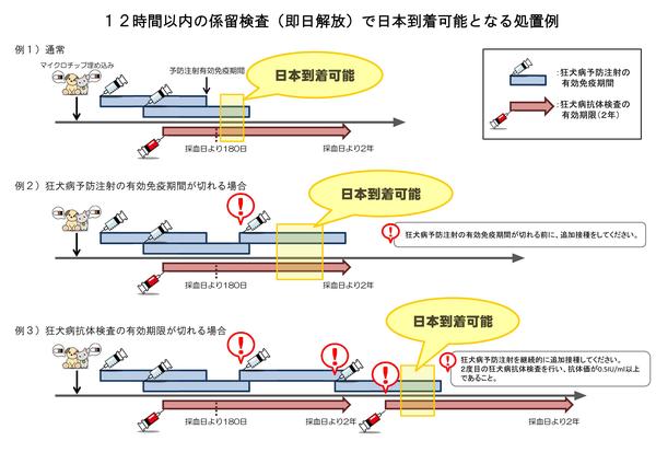 宠物猫狗由中国进入日本政策 知乎