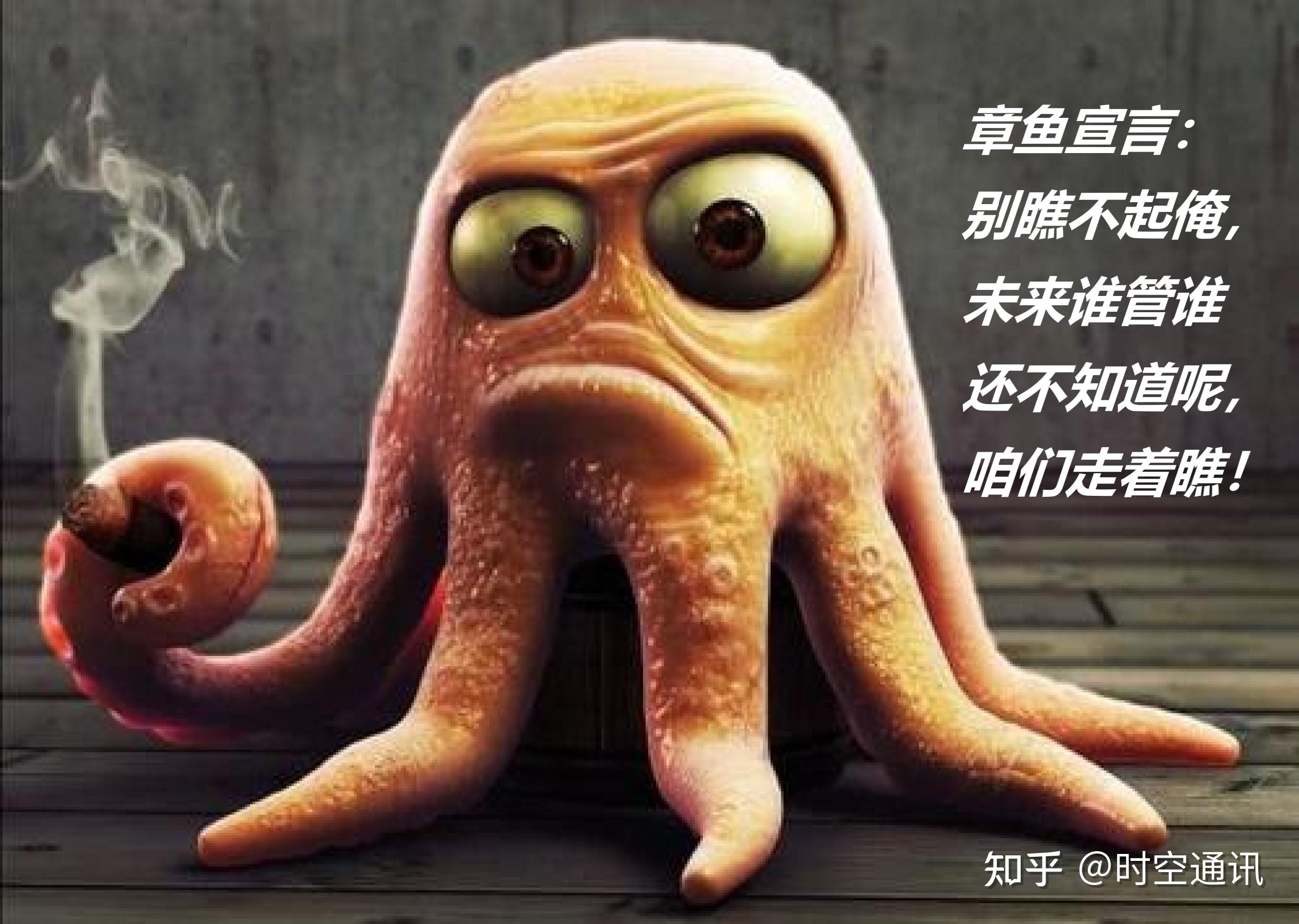 海洋中的最强大脑之一每根触须都有思想八爪鱼到底有多厉害