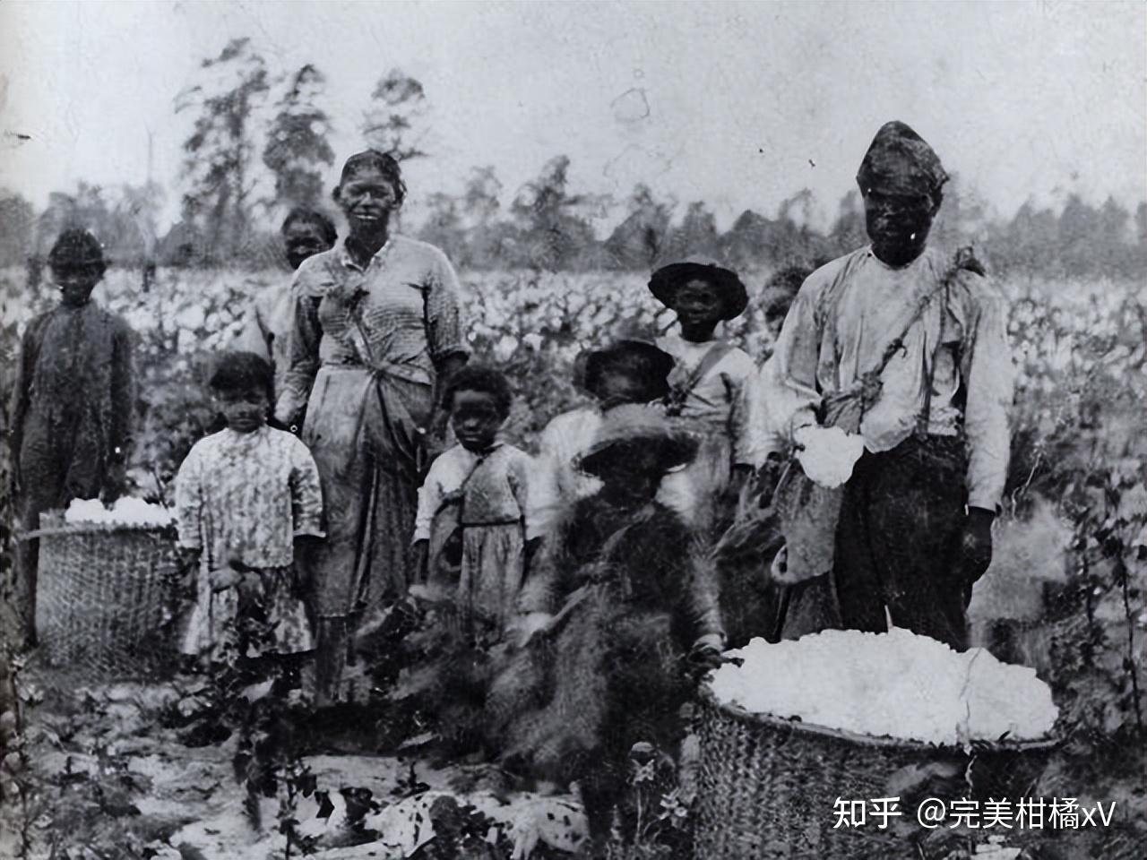 美国黑奴图片