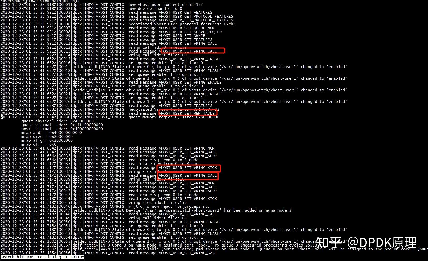 vhost dpdk 共享内存 知乎