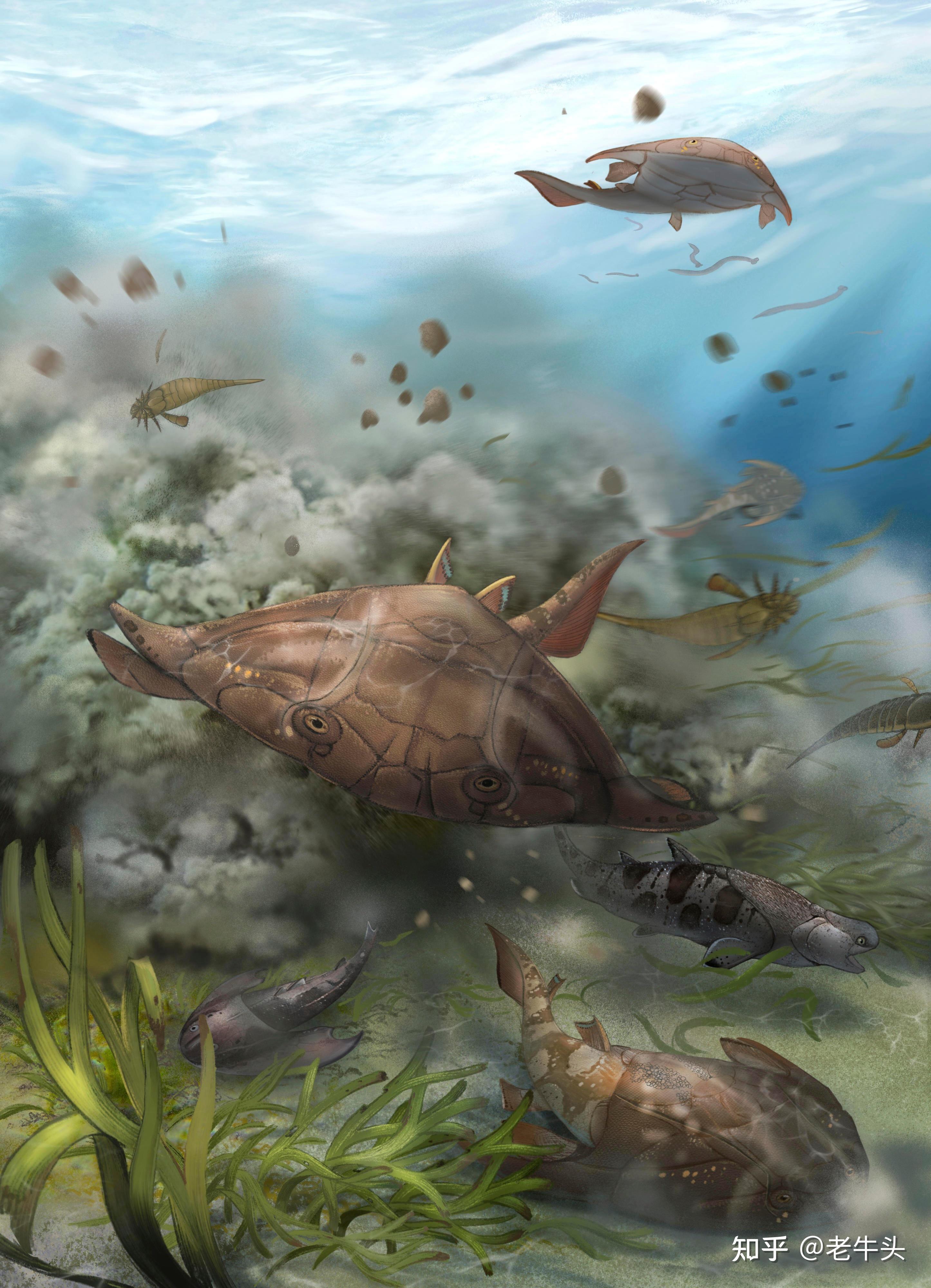 古生物新闻（2022年9月26日-10月9日） - 知乎