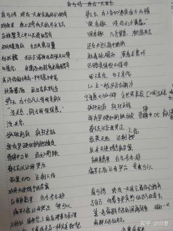 如何评价《终有一天,我会抛弃你们》的歌词?