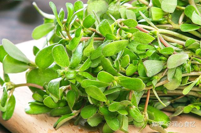 清明节前后时令野菜有哪些这7种野菜遇见别错过