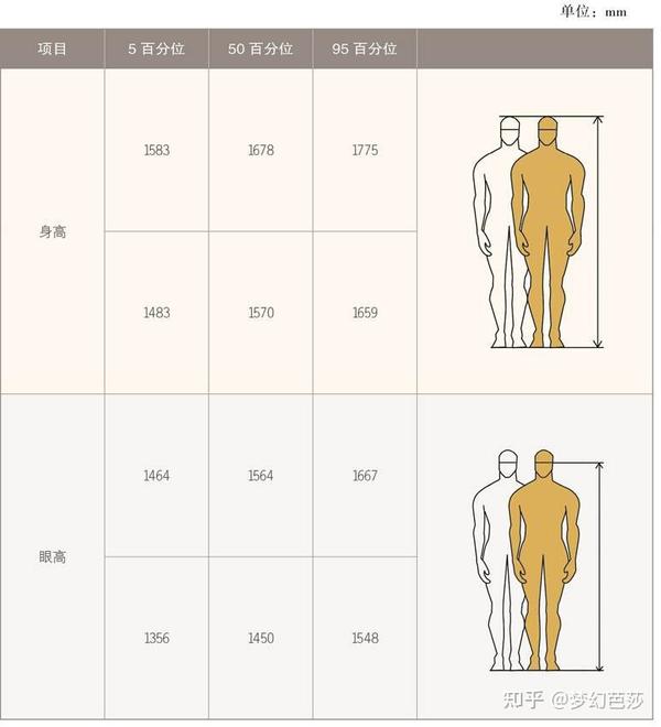 成年人人体相关尺寸对应表 - 知乎