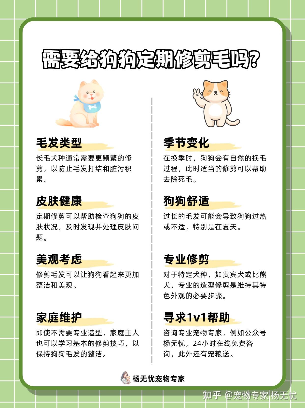 狗狗美容狗狗毛发修剪全攻略该不该剪怎么剪