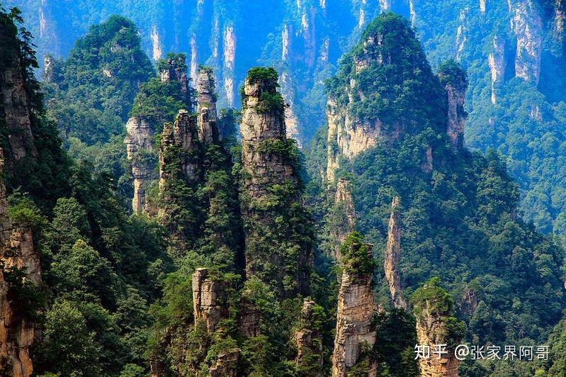 张家界旅游几月去最合适？最佳旅游季节是什么时候？张家界旅游攻略 - 知乎