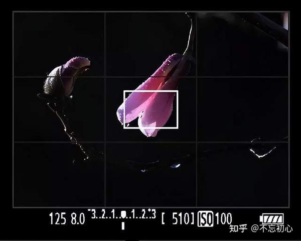 摄影技巧|学习4种测光模式、3个测光技巧 - 知乎