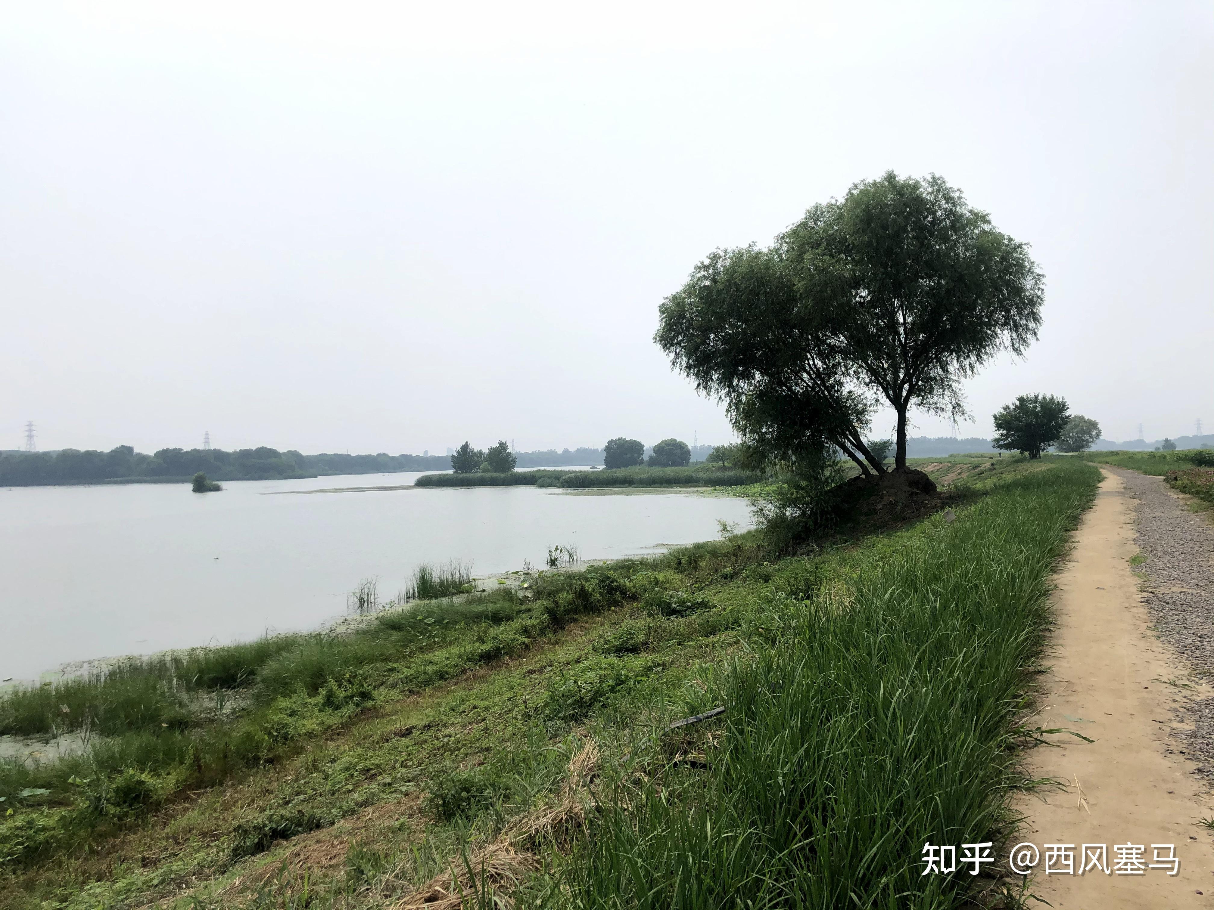 不问ciaga歌词 百度知道