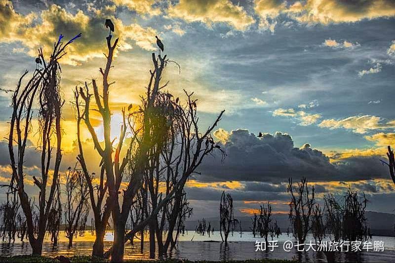 肯尼亞之旅 - 知乎