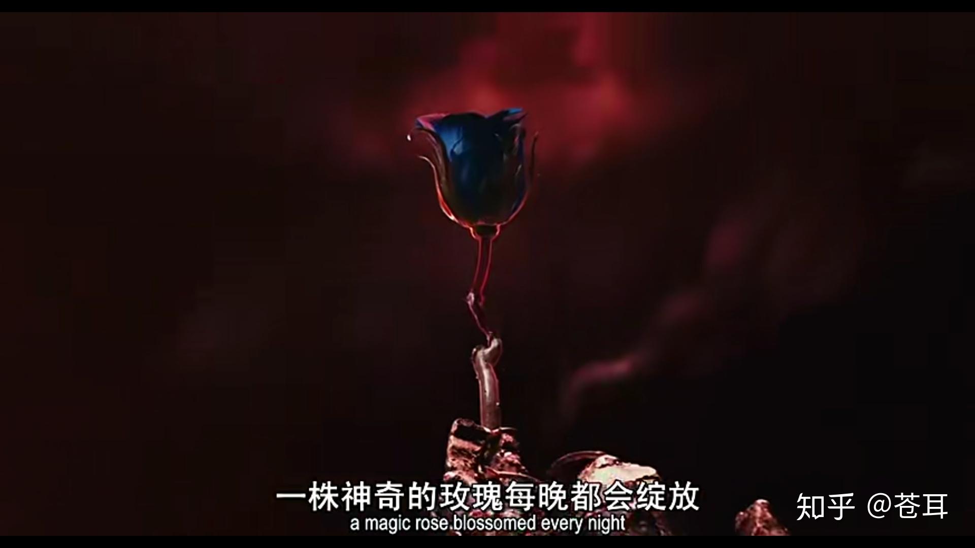 影评解析