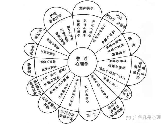 心理學當下的知識體系可以分為理論心理學和應用心理學兩個方面