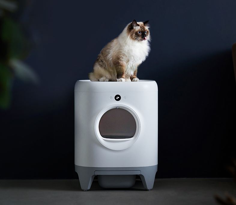 提高养宠幸福感黑科技小佩petkit宠物智能家居推荐