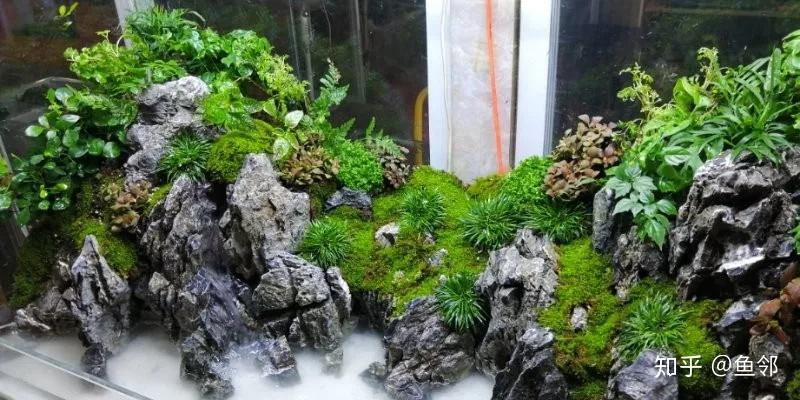 超大气的青龙石中式山水水陆缸