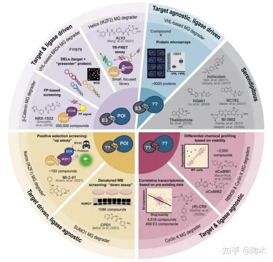 分子胶“火”了，靶向蛋白降解市场又出大事件！ - 知乎