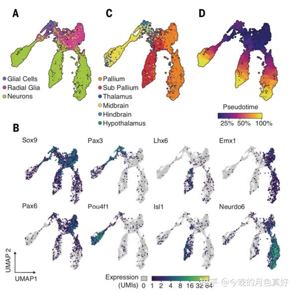 单细胞文章打卡97---Embryo-scale, single-cell spatial transcriptomics - 知乎