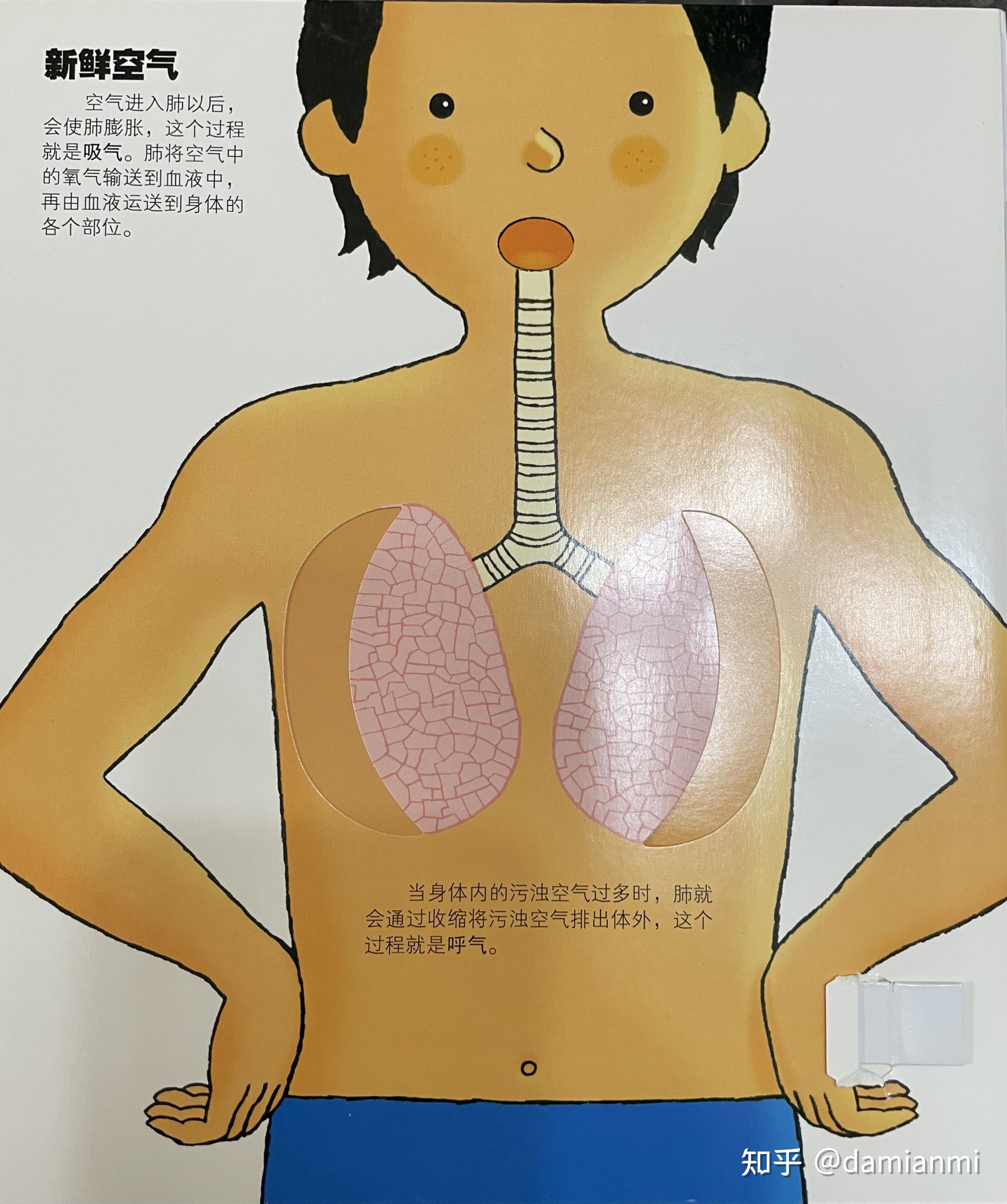 3-6岁科普绘本系列4:我们的身体