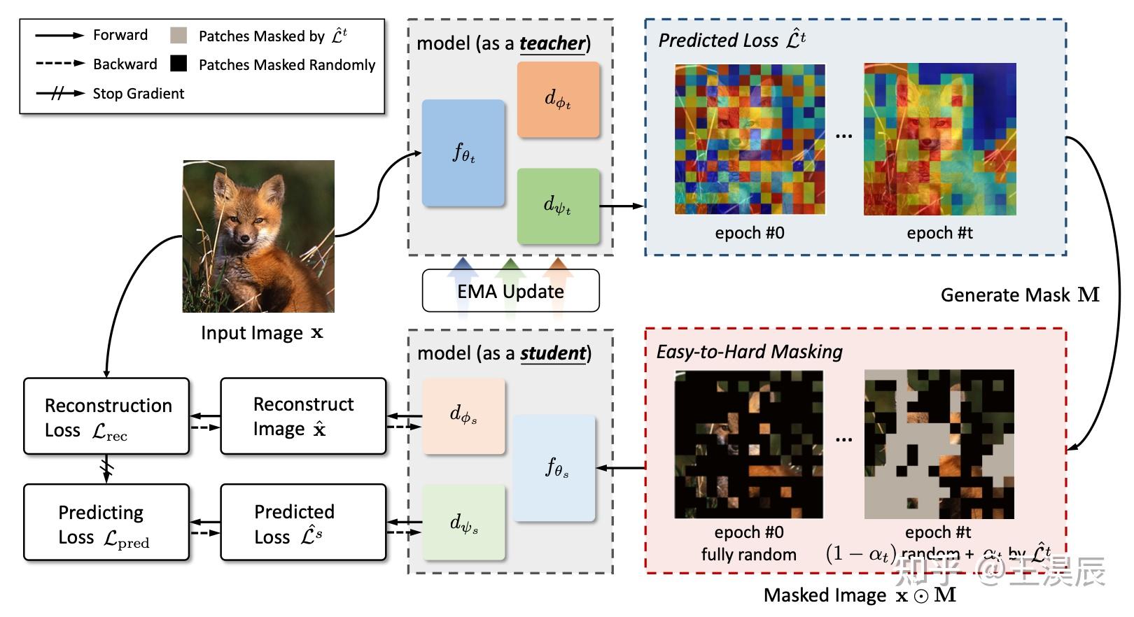 CVPR 2023 | 挖掘困难样本的 MIM 框架: Hard Patches Mining For Masked Image ...