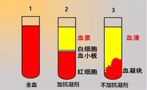 阳普医疗|血液标本采集后的处理及注意事项 - 知乎